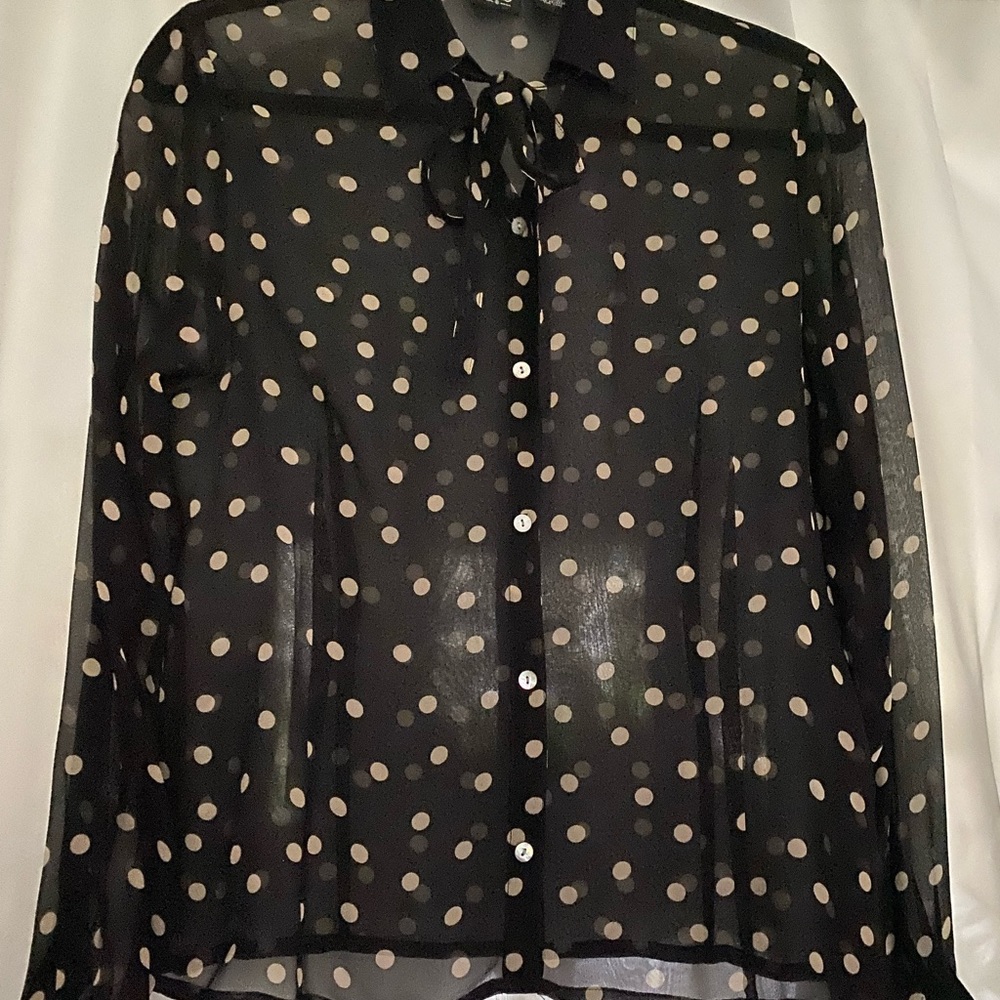 Sheer long sleeved blouse